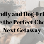 Why Pet-Friendly and Dog-Friendly Holiday Cottages Are the Perfect Choice for Your Next Getaway