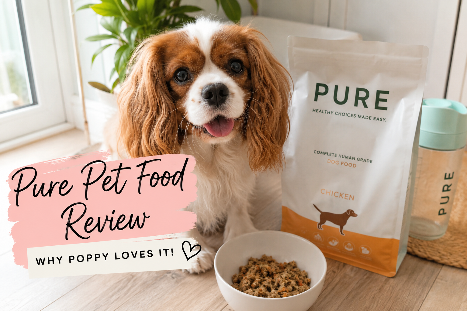 pure pet food review